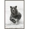 Brown bear fishing for salmon by Adam Jones Danita Delimont 16-in. W x 23-in. H. Canvas Wall Art Print Framed in Grey